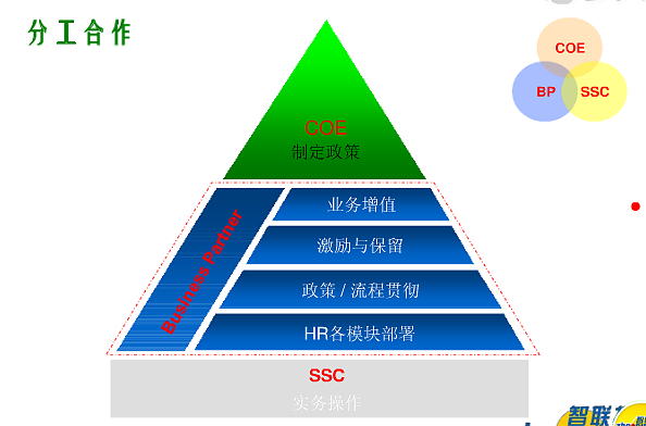 HRBP 從職能專家到業務伙伴的角色演進與價值定位